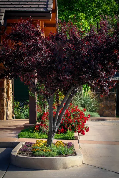 Flanigan's Resort and Spa hotel detail image 2
