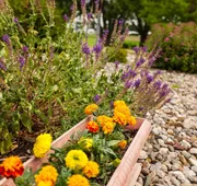 Scottish Bed & Breakfast hotel detail image 4