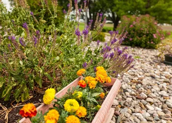 Scottish Bed & Breakfast hotel thumbnail 4