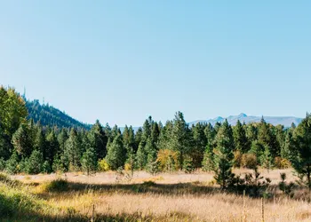 Pine River Ranch B&B hotel thumbnail 4