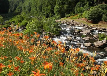 Historic Tapoco Lodge Resort hotel thumbnail 5