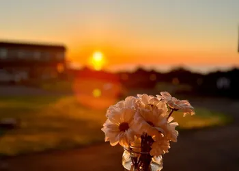 Hartmans' Briney Breezes Beach Resort hotel thumbnail 3