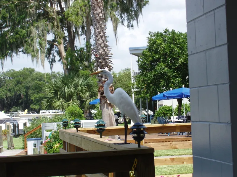 Hontoon Landing Resort & Marina hotel detail image 2