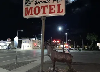 Rio Grande Motel hotel thumbnail 5