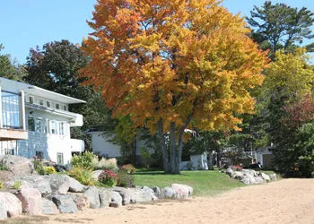 Sands on Golden Lake hotel thumbnail 3