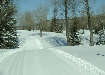 Spruce Hill Resort & Spa hotel thumbnail 2