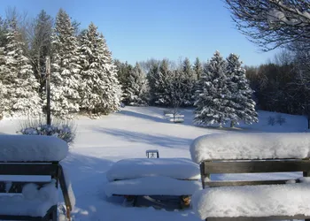 Koch Haus Bed & Breakfast hotel thumbnail 6