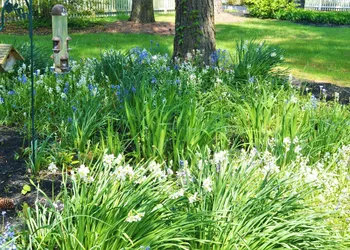 Meris Gardens Bethany hotel thumbnail 8