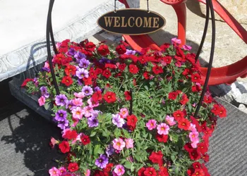 Overlander Motel hotel thumbnail 4