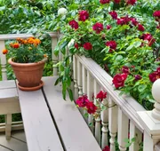 The Lamplighter Bed & Breakfast of Ludington hotel detail image 5