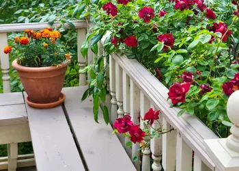 The Lamplighter Bed & Breakfast of Ludington hotel thumbnail 5