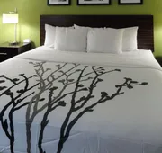 Sleep Inn & Suites Columbus - State University Area hotel detail image 4