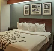 Sleep Inn Lake Wright - Norfolk Airport hotel detail image 7