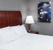 Hilton Garden Inn Naperville/Warrenville hotel detail image 7