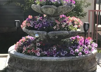 Blue Spruce Inn hotel thumbnail 8