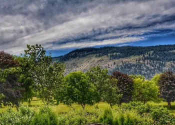Sunny Shuswap B&B hotel thumbnail 8