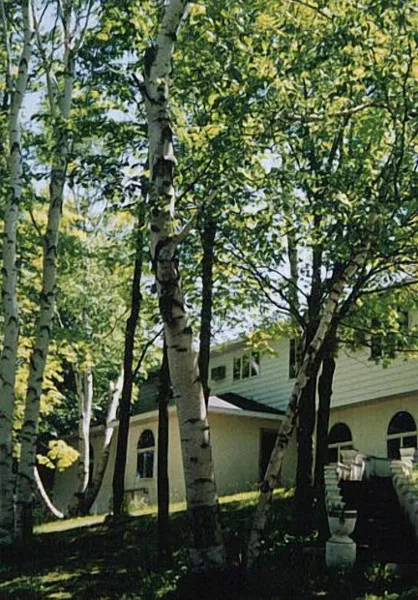 White Birch Inn hotel detail image 2