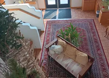White Birch Inn hotel thumbnail 8