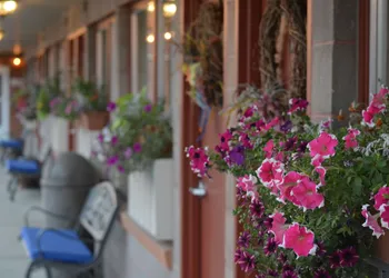 Lariat Motel hotel thumbnail 8