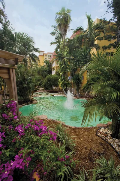 Club Wyndham Sea Gardens hotel detail image 2