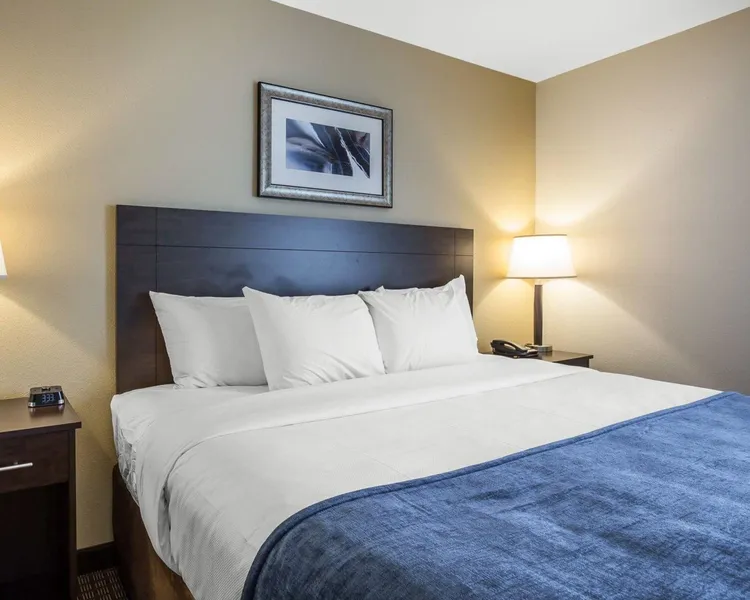 MainStay Suites Cartersville - Emerson Lake Point hotel detail image 6