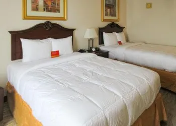 Econo Lodge Sulphur Springs I-30 hotel thumbnail 2