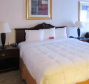 Econo Lodge Sulphur Springs I-30 hotel detail image 4