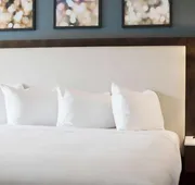 Hilton Garden Inn Minneapolis University Area hotel detail image 5