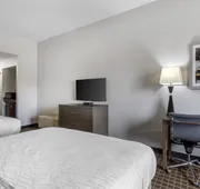 Best Western Plus Lampasas Inn & Suites hotel detail image 4