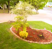 Branson King Resort and Suites hotel detail image 5