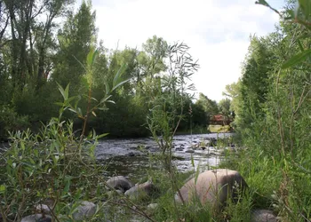 Elkhorn Lodge hotel thumbnail 7