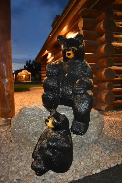 Kodiak Mountain Resort hotel detail image 6