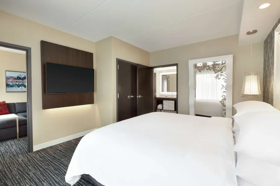 Embassy Suites by Hilton Atlanta NE Gwinnett Sugarloaf hotel detail image 6
