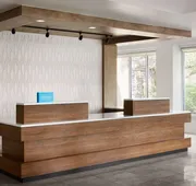 Hilton Garden Inn Denver South Park Meadows Area hotel detail image 4