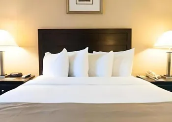 Solaire Los Angeles hotel thumbnail 4