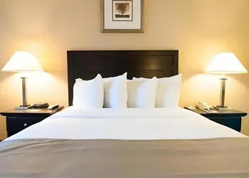 Solaire Los Angeles hotel thumbnail 5