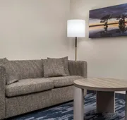 Fairfield Inn & Suites by Marriott Dallas Mansfield hotel detail image 7