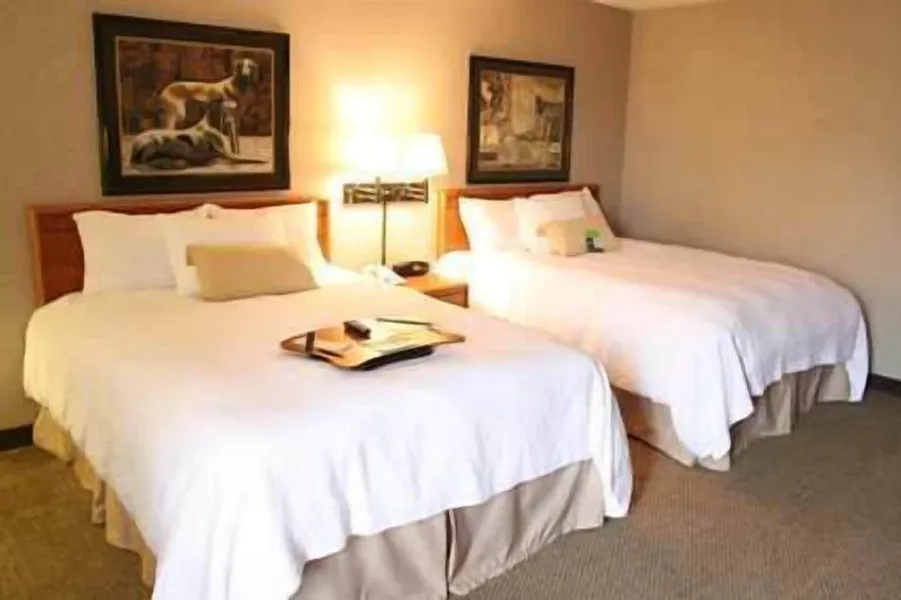 Hampton Inn Columbus/Taylorsville/Edinburgh hotel detail image 6
