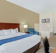 Comfort Inn & Suites La Grange - Louisville Area hotel detail image 7