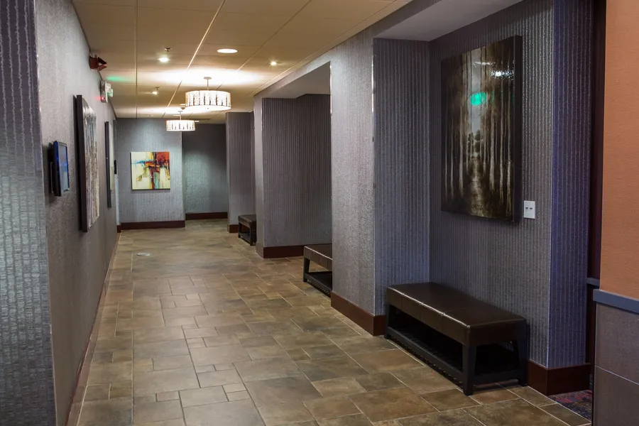 Holiday Inn Downtown - Mercy Area by IHG hotel detail image 6