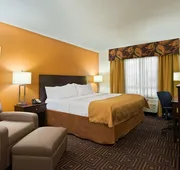 Holiday Inn Knoxville West- Cedar Bluff Rd by IHG hotel detail image 3