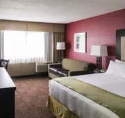 Holiday Inn Express Big Rapids by IHG hotel detail image 7