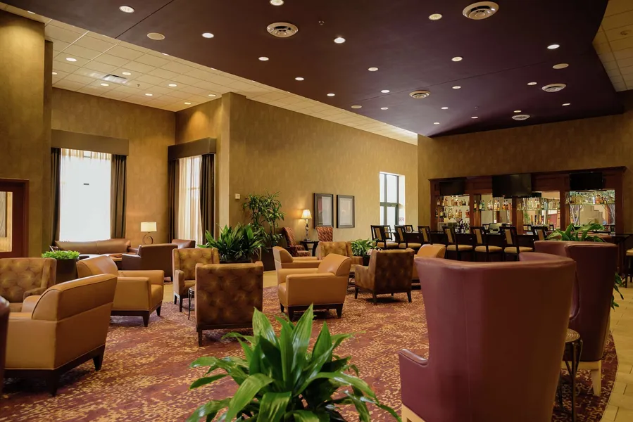Embassy Suites by Hilton Minneapolis North hotel detail image 2