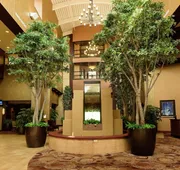 Embassy Suites by Hilton Minneapolis North hotel detail image 3