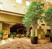 Embassy Suites by Hilton Minneapolis North hotel detail image 5