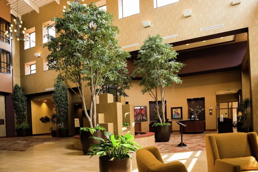 Embassy Suites by Hilton Minneapolis North hotel detail image 6