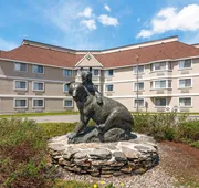 Black Bear Inn, an Ascend Collection Hotel hotel detail image 4
