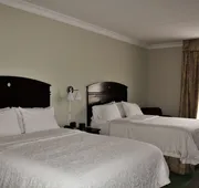 Hampton Inn Americus hotel detail image 3