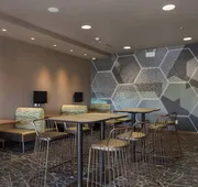 SpringHill Suites by Marriott Charlotte Ballantyne hotel detail image 5