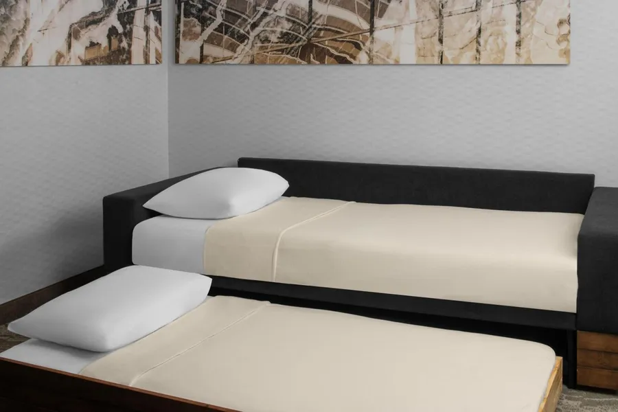 SpringHill Suites by Marriott Pittsburgh Southside Works hotel detail image 2